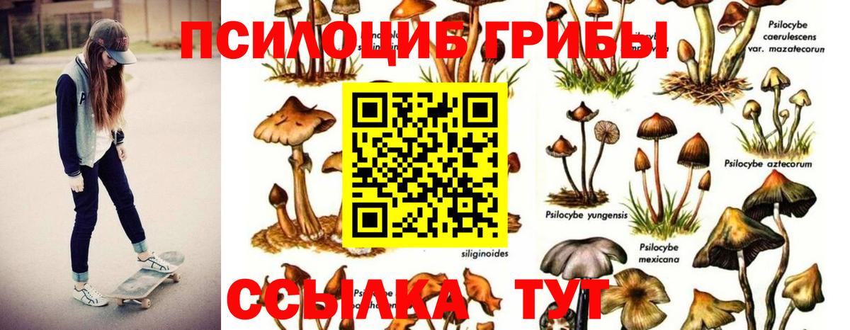 Галлюциногенные грибы MAGIC MUSHROOMS Балашов
