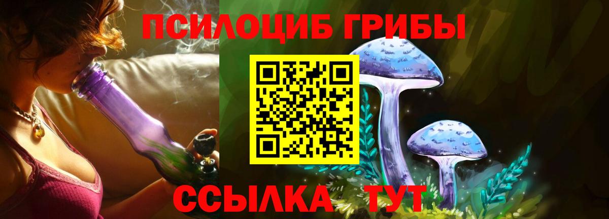 Псилоцибиновые грибы ЛСД  как найти   Балашов  Вход с VPN  Псилоцибиновые грибы мухоморы 
